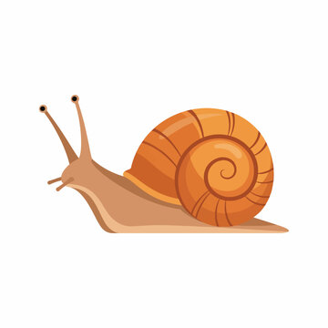 A snail with a brown shell.