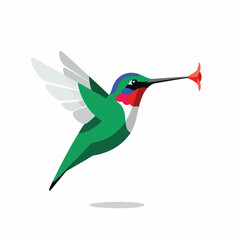 Colorful Hummingbird in Mid Flight. © Rohimah