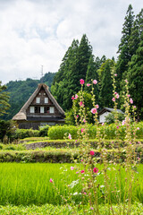 世界遺産、五箇山相倉合掌集落の夏 © Hiro074