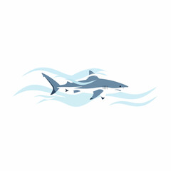 Obraz premium Gray shark swimming in ocean water 1.