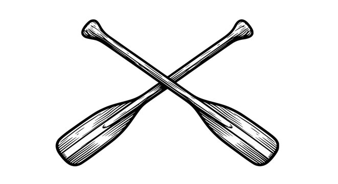 oars vector illustration