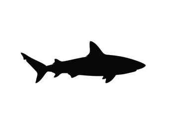 A striking black silhouette of a shark swimming gracefully through the water silhouette © Sumon