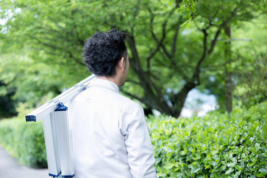 脚立を持って現場へ向かう植木の植栽や施工管理などの作業員のポートレート公園やインフラ点検業務イメージ顔なしのバナー