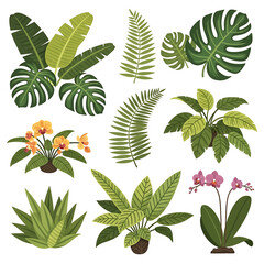 Tropical leaves and flowers collection. © Sem