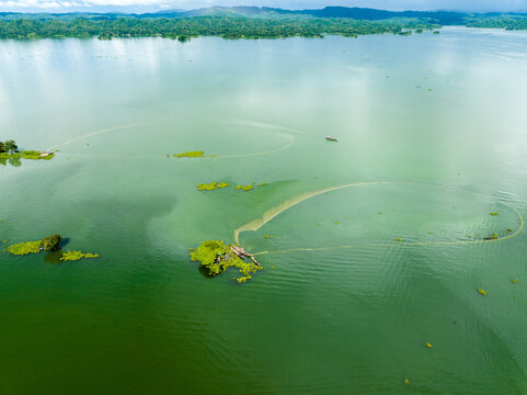 Aerial view of Kaptai Lake with traditional fishing nets forming circular patterns on the green water surface surrounded by lush hills and small islands in Rangamati, Chittagong Division, Bangladesh.