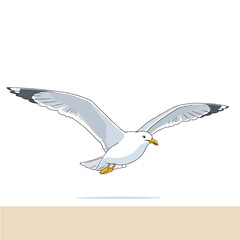 Fototapeta premium Seagull flying in the air freely 2.