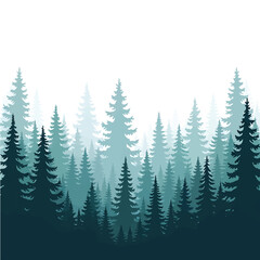 Fototapeta premium Tall Evergreen Pine Trees Forest Silhouette.