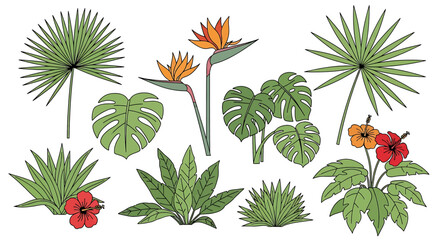 Tropical leaves and flowers illustration 5. © nata