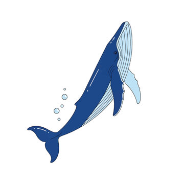 Large blue whale in water.