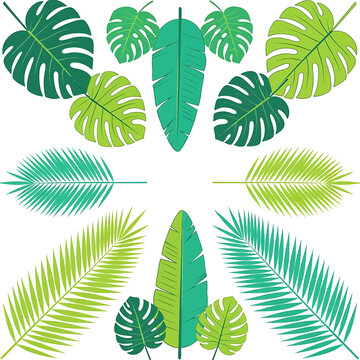 Collection of various green tropical leaves 10.