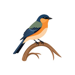 Obraz premium Colorful Bird Perched on Branch Alone.