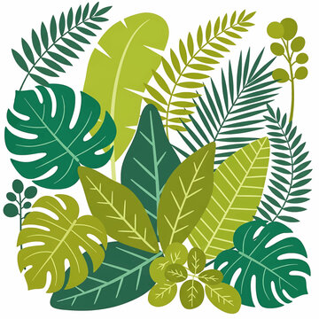 Collection of various green tropical leaves 5.