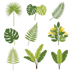 Tropical leaves and green foliage. © Cowok