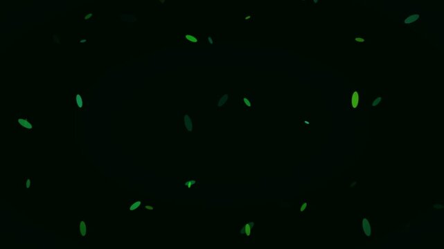 Lush green foliage confetti rain falling on dark screen, nature abstract loop