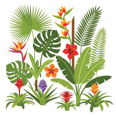 Tropical plants with colorful flowers. © Sem