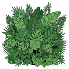Collection of various green tropical leaves 13. © Jem