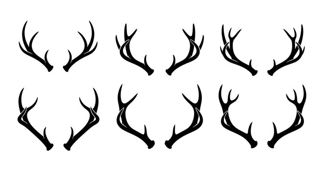 Set of various deer antlers silhouettes on white background.