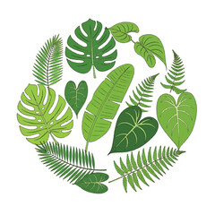 Collection of various green tropical leaves 14. © Jem