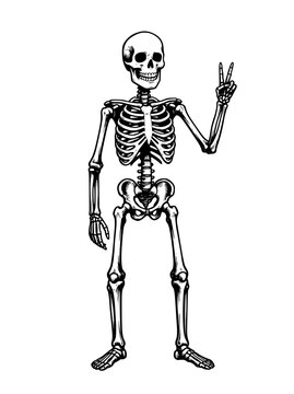 Vector illustration of a smiling skeleton giving peace sign