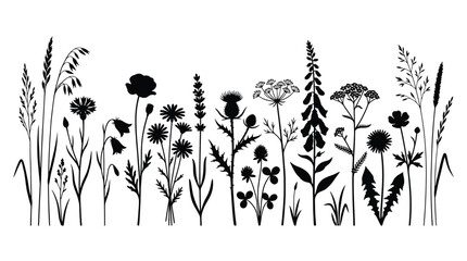 Wildflowers and herbs vector silhouettes floral elements, meadow grass, poppy, lavender, thistle, clover, chamomile, dandelion, foxglove, yarrow, cornflower © Hikari Vector Studio