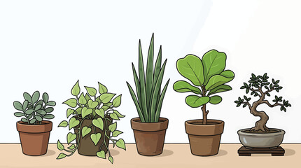 Fototapeta premium Set of various indoor house plants in pots, including jade plant, pothos, snake plant, fiddle leaf fig, and bonsai tree, handdrawn illustration