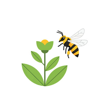 Bee flying to yellow flower.