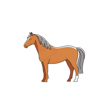 Brown Horse Standing Alone Profile View 3.
