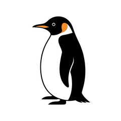 Obraz premium Penguin standing on white background 5.