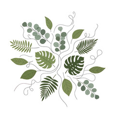 Collection of various green tropical leaves 9. © Dasim
