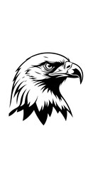 Obraz premium American Bald Eagle Head Illustration.