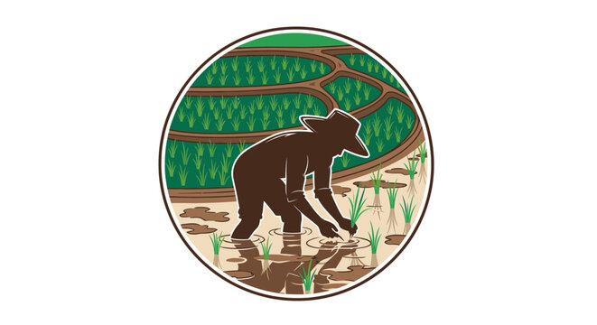 Farmer planting rice in a paddy field, traditional agriculture.