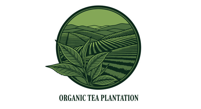 Organic Tea Plantation Logo with Lush Green Tea Leaves and Rolling Hills.