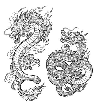 Japanese dragon vector illustration, traditional oriental style line art.
