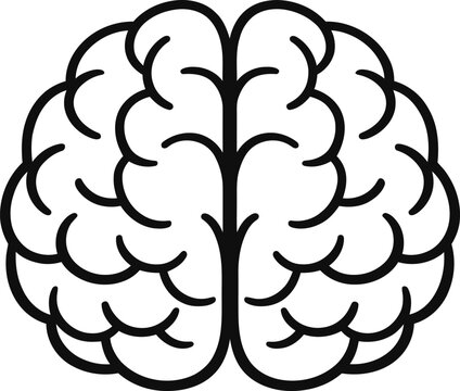 A detailed black line illustration of a human brain from a front view