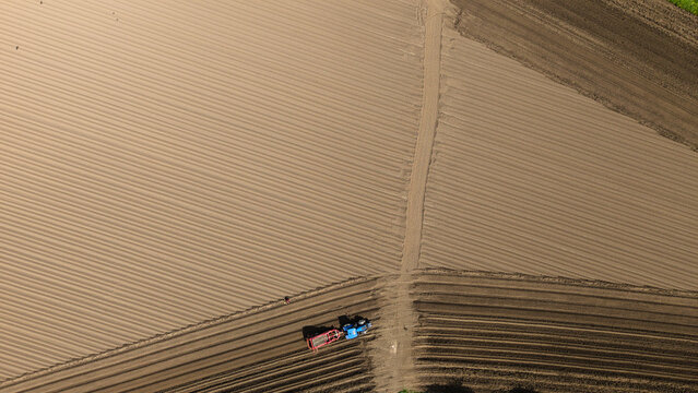 Aerial view of a blue tractor with a red trailer working on a ploughed field with geometric furrows and brown soil in Knottingley, England, United Kingdom.