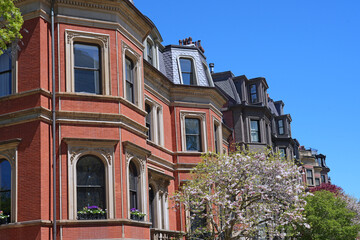 Obraz premium Elegant row of well preserved townhouses from the 1800s, Back Bay area of Boston