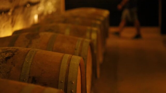 a close-up dynamic clip of a cellar featuring a row of wooden wine barrels, with a person walking in the background.