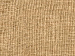 Fototapeta premium Elegant woven fabric texture background with fine beige threads for digital design.