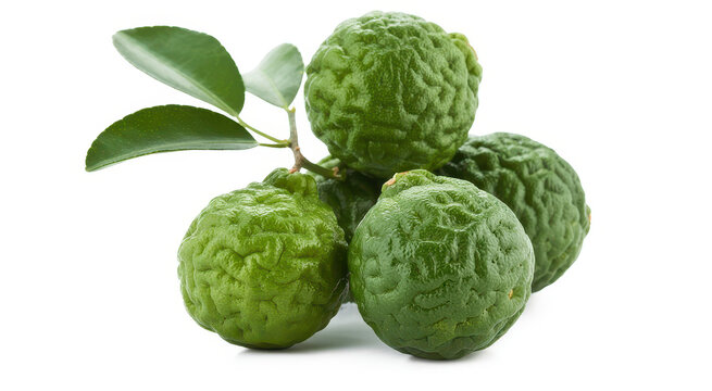 A cluster of fresh green kaffir lime fruits with green leaves attached on a plain white background