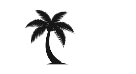 Fototapeta premium Black silhouette of a palm tree.