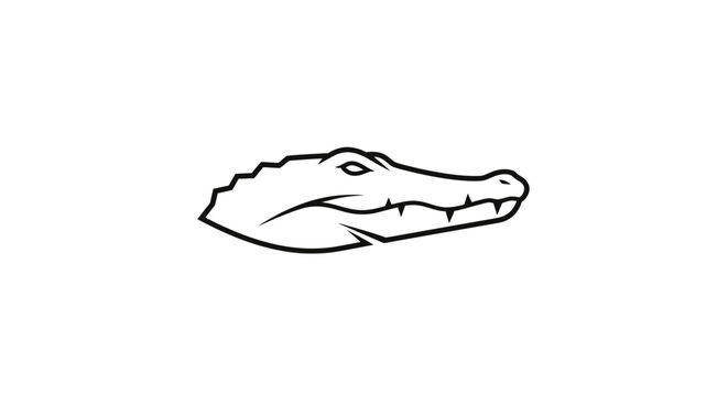 Black and white crocodile head drawing.