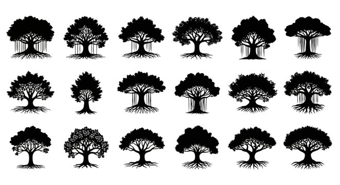 Collection of diverse black silhouette trees with intricate root systems and lush canopies isolated on white background representing growth nature and stability