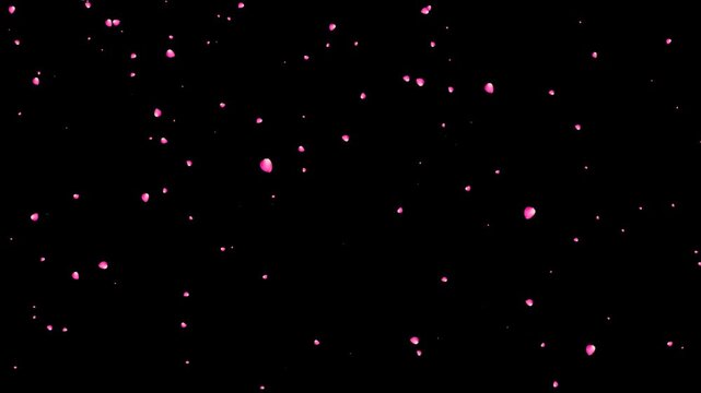  alpha Romantic peach blossom petals fall(After Effects production)
