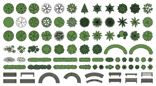 Top view trees, bushes, hedges, and park. Comprehensive vector set of top-view trees, bushes, hedges, and park furniture. Vector illustration.