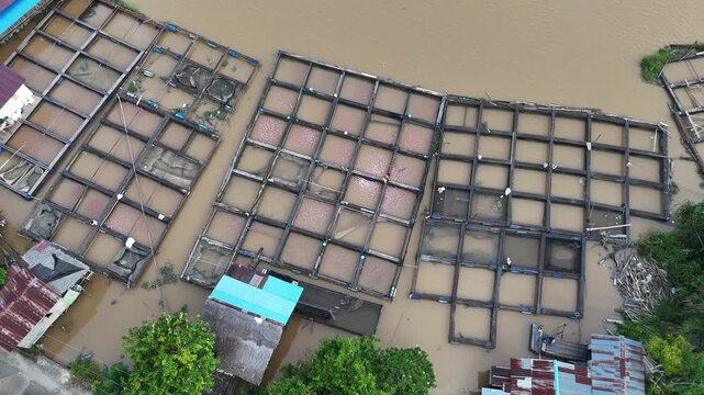 An aerial view captured by a drone showing fish farm along the riverbank, with square-shaped floating cages next to houses along the Kapuas River in Indonesia.
