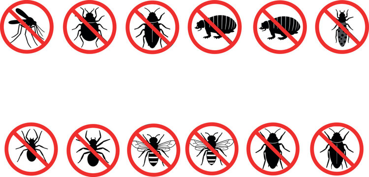 No insects signs collection featuring mosquito cockroach beetle and pest prohibition symbols in warning red circle flat vector illustration set
