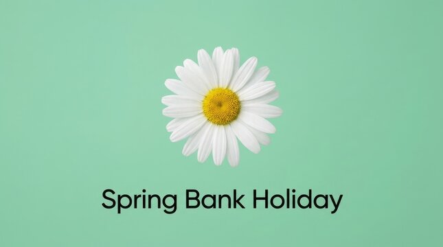 Spring Bank Holiday greeting card, white daisy flower on mint green background, seasonal celebration banner with floral blossom and text