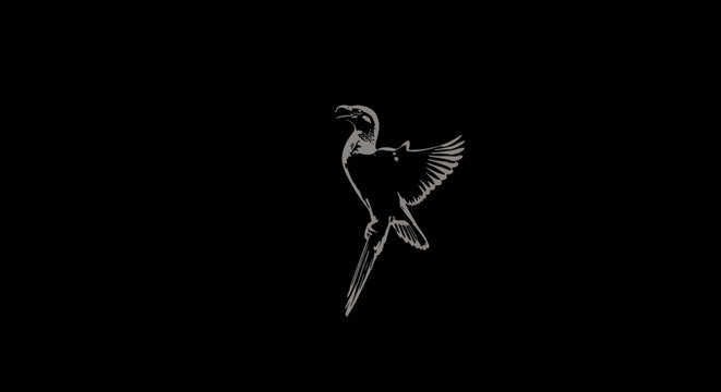 Stylized white flying bird illustration on a black background