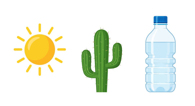 Sun cactus and water bottle icons for dehydration concept