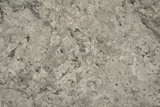 Adonis White granite, a natural stone primarily quarried in Brazil. It is highly regarded for its sophisticated, neutral palette and is frequently used in both modern and traditional interior designs
